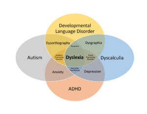 Developmental language disorder explanations in comparing bubbles. If you're wondering if your child has dyslexia, meet with one of our psychologists! Learn more about dyslexia testing in San Francisco, CA here. 